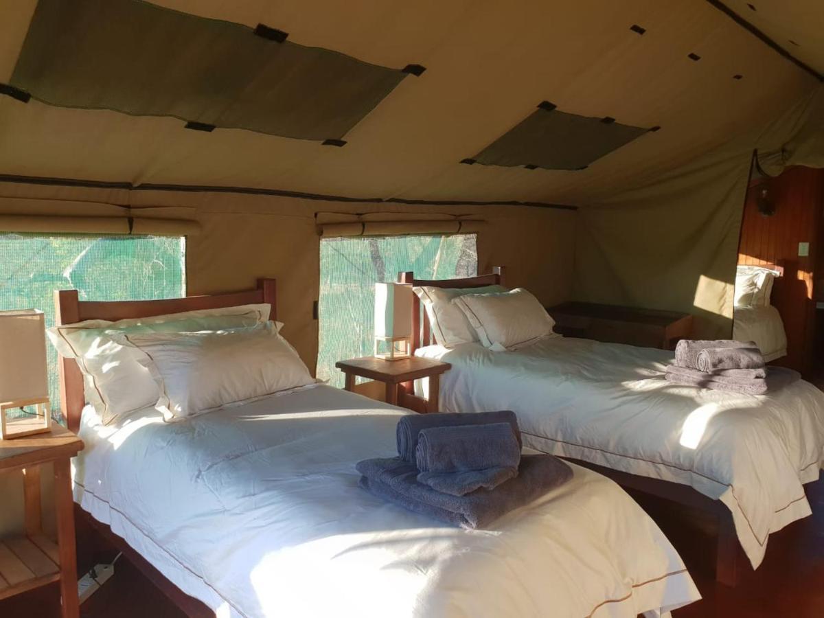 Kelora Bush Camp Ξενοδοχείο Hoedspruit Εξωτερικό φωτογραφία