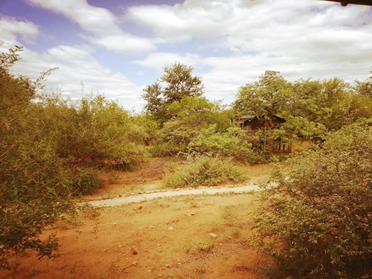 Kelora Bush Camp Ξενοδοχείο Hoedspruit Εξωτερικό φωτογραφία