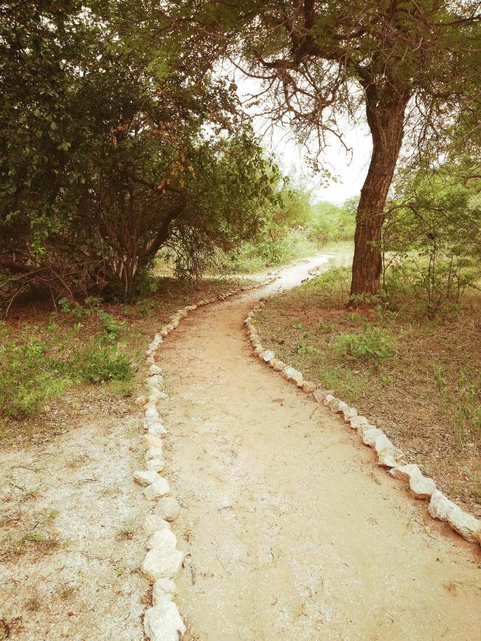 Kelora Bush Camp Ξενοδοχείο Hoedspruit Εξωτερικό φωτογραφία
