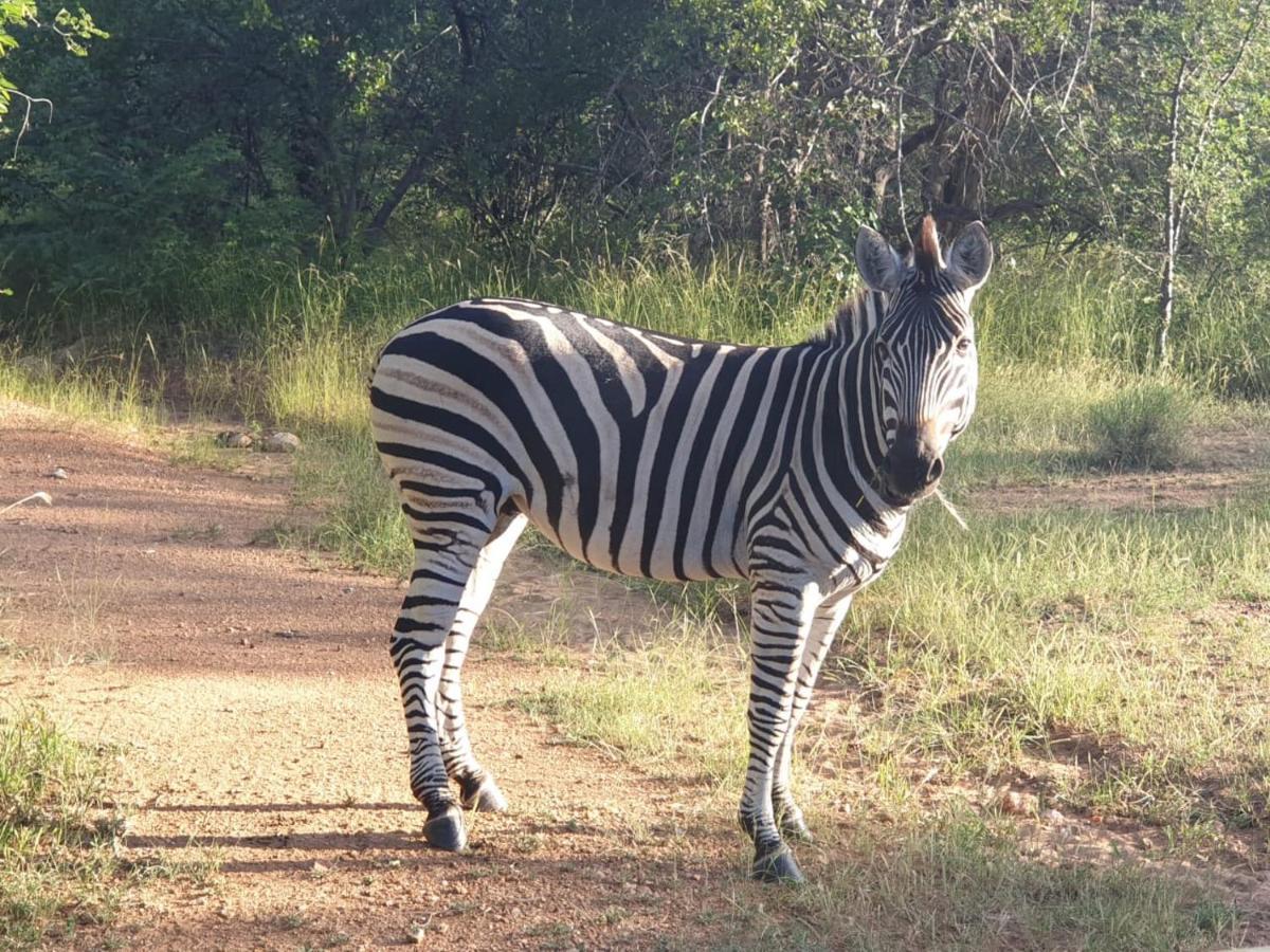 Kelora Bush Camp Ξενοδοχείο Hoedspruit Εξωτερικό φωτογραφία