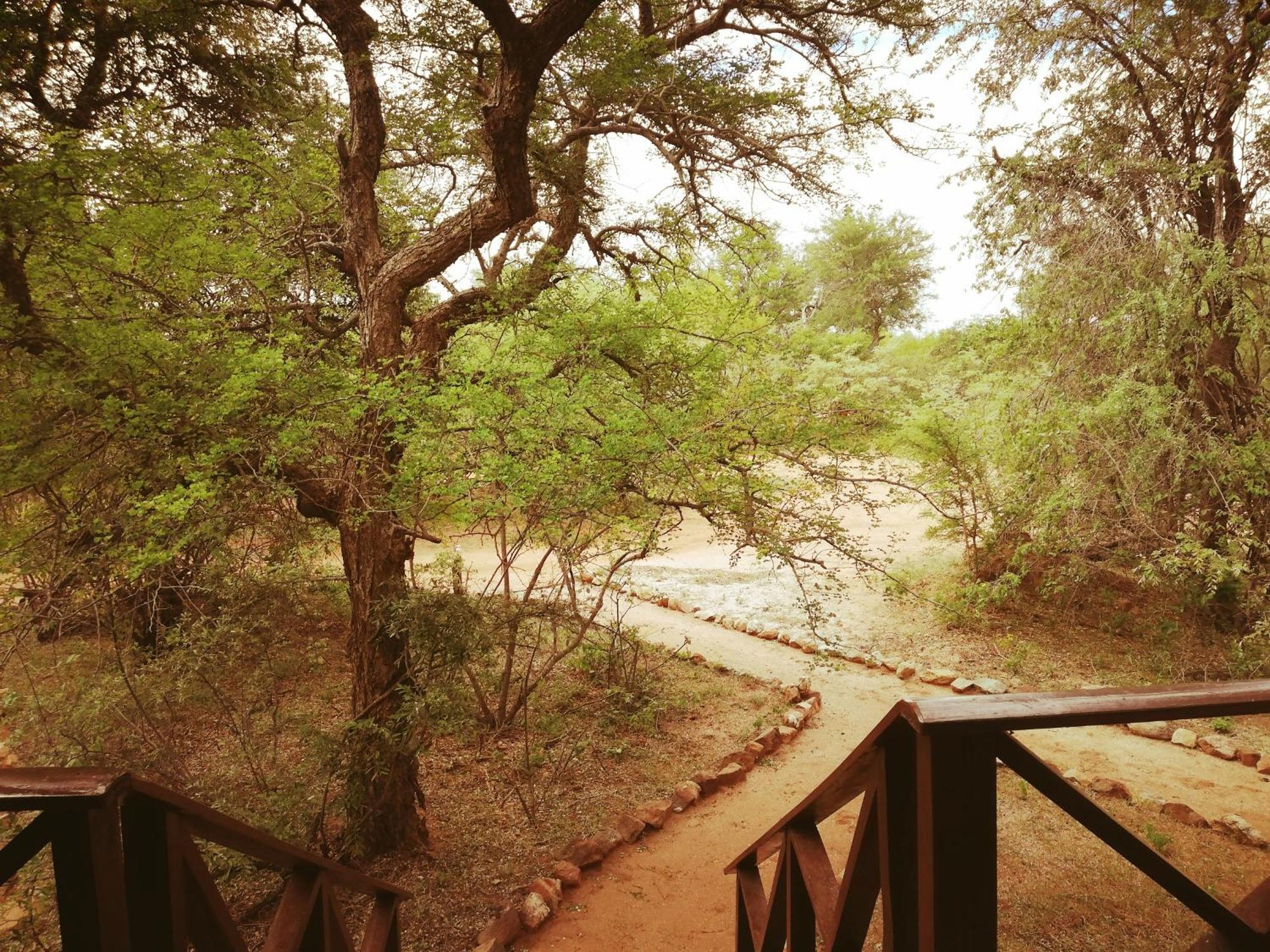 Kelora Bush Camp Ξενοδοχείο Hoedspruit Δωμάτιο φωτογραφία
